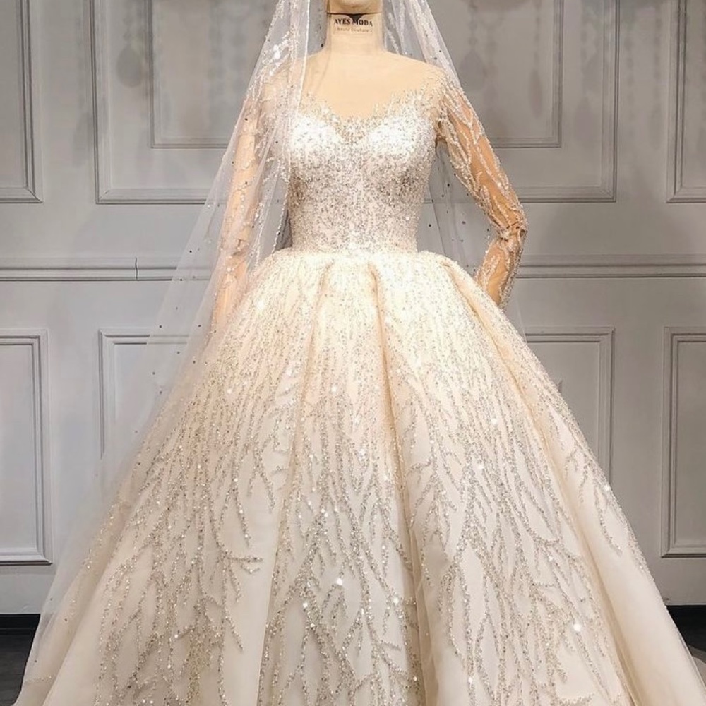 Wedding Dress and Veil